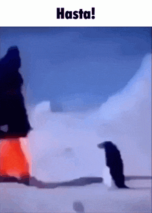 a penguin standing in the snow next to a person with the words hasta below it