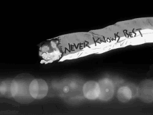 Never Knows Best GIF - Never Knows Best GIFs