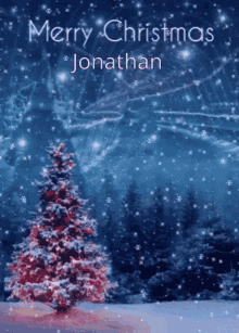 jonathan christmas christmas tree