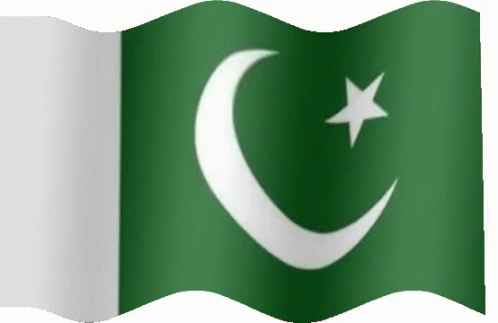 Pakistan Flag Gif GIFs | Tenor