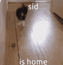 Sid Is Home Sid Came Home GIF - Sid Is Home Sid Came Home Sid GIFs