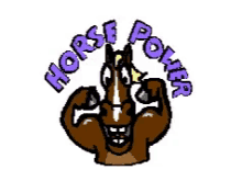 Horse Power Horse GIF - Horse Power Horse Flex GIFs
