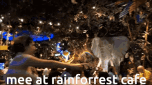 Rainforest Rainforest Cafe GIF - Rainforest Rainforest Cafe Disney GIFs