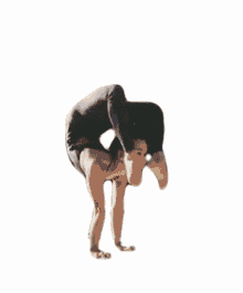 contortionist bend handstand gymnast balance
