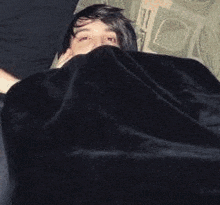 a hamster is sleeping under a blanket with a stuffed pig .