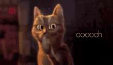 Oops Cat GIF - Oops Cat Sassy GIFs