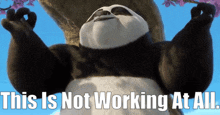 Kung Fu Panda 4 Po GIF - Kung Fu Panda 4 Po This Is Not Working At All GIFs