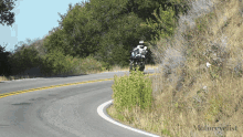 Riding Motorbike GIF