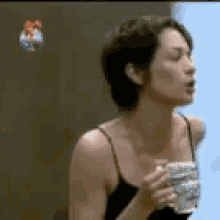 lu schievano