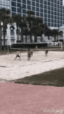 Beach Volleyball Crash Into The Net GIF - Beach Volleyball Crash Into The Net Invisible Ball GIFs