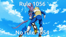 Rules Rule 1056 GIF - Rules Rule 1056 Dragon Ball Rules GIFs