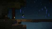 two minecraft characters are standing on a bridge with a tree in the background