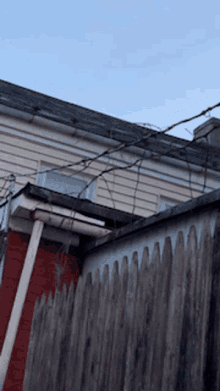 Roof Surprise GIF