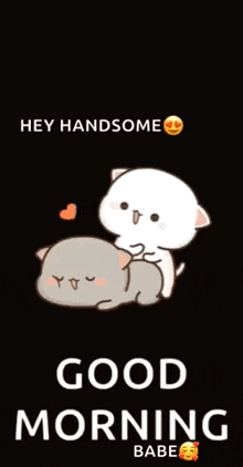 a cartoon of a cat and a dog saying good morning babe