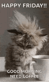 a fluffy cat is sitting next to a cup of coffee and says `` happy friday ! good morning need coffee '' .