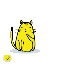 cat animated thankyou