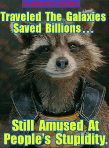 a picture of a raccoon with the caption traveled the galaxies saved billions and still amused at people 's stupidity