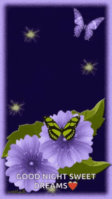 purple flower butterflies purple good night sweet dreams
