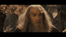 Lord Of The Rings Gandalf GIF - Lord Of The Rings Gandalf What Is Going On GIFs
