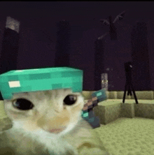 a cat is wearing a diamond helmet and holding a diamond sword in a minecraft video game .