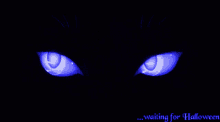 Halloween Purple Eyes GIF