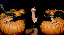 Elvira Pumpkins GIF - Elvira Pumpkins GIFs