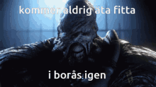 Borås Fitta GIF - Borås Fitta Boråsfitta GIFs