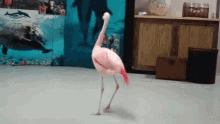 Flamingo Turn Around GIF - Flamingo Turn Around Cute GIFs