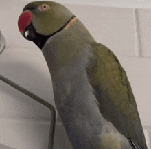 I Love You Bird I Love You Parrot GIF