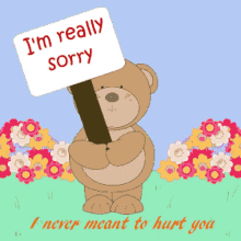 sorry im sorry i never meant to hurt you bear