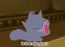 Is That My Voice GIF - Is That My Voice GIFs