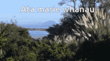 Maketu Papamoa Beach GIF - Maketu Papamoa Beach Mt Maunganui GIFs