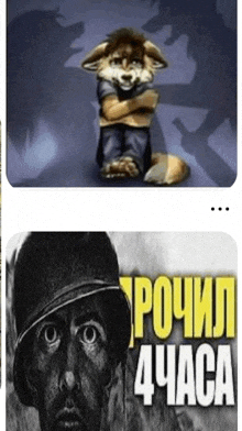 a picture of a fox next to a picture of a man in a hat that says " 4 часа "