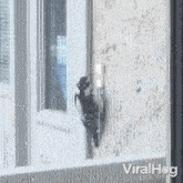 Clicking The Doorbell Woodpecker GIF