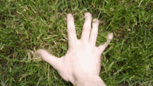 Andrew Cunningham Grass GIF - Andrew Cunningham Grass Touch Grass GIFs