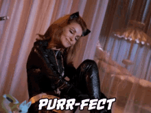 Catwoman Purr GIF - Catwoman Purr Perfect GIFs