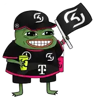 a frog wearing a black shirt with the letter t on it is holding a flag