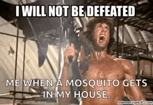 Defeated I Will Not Be Defeated GIF