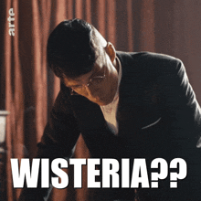 Wisteria GIF - Wisteria GIFs
