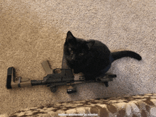 Mac Black Cat GIF - Mac Black Cat Gun Cat GIFs