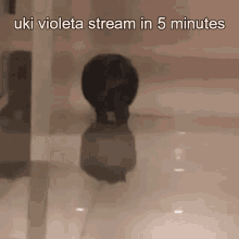 Uki Uki Violeta GIF - Uki Uki Violeta Uki Stream GIFs