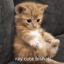 Ray Ray Cute Bish GIF - Ray Ray Cute Bish Vanteguggie GIFs