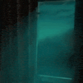 a person is standing in front of a window with a reflection of a person in it