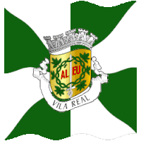 a green and white flag with a coat of arms for vila real