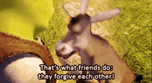 Shrek Donkey GIF - Shrek Donkey Thats What Friends Do GIFs