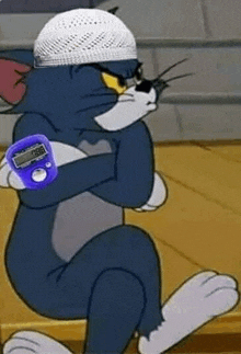 tom from tom and jerry is wearing a hat and holding a purple finger ring .