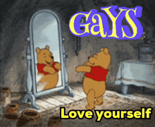 a cartoon of winnie the pooh standing in front of a mirror with the words gays love yourself