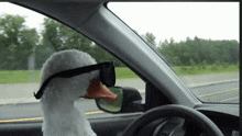 Duck With GIF - Duck With Sunglasses GIFs