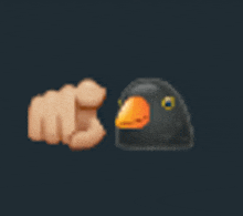 a hand pointing at a bird with an orange beak