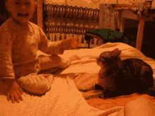 Kid Beating Cat GIF - Cat Vs Kid Kid Beating Cat Mad GIFs